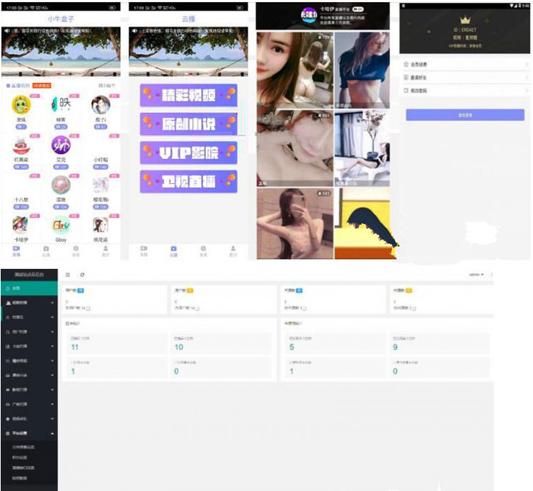原生聚合直播盒子源码安卓+IOS+超级后台+独立代理-ssWordPress主题模板_淘源码资源网_建站教程WordPress主题模板_zibll子比主题官网_淘源码资源网