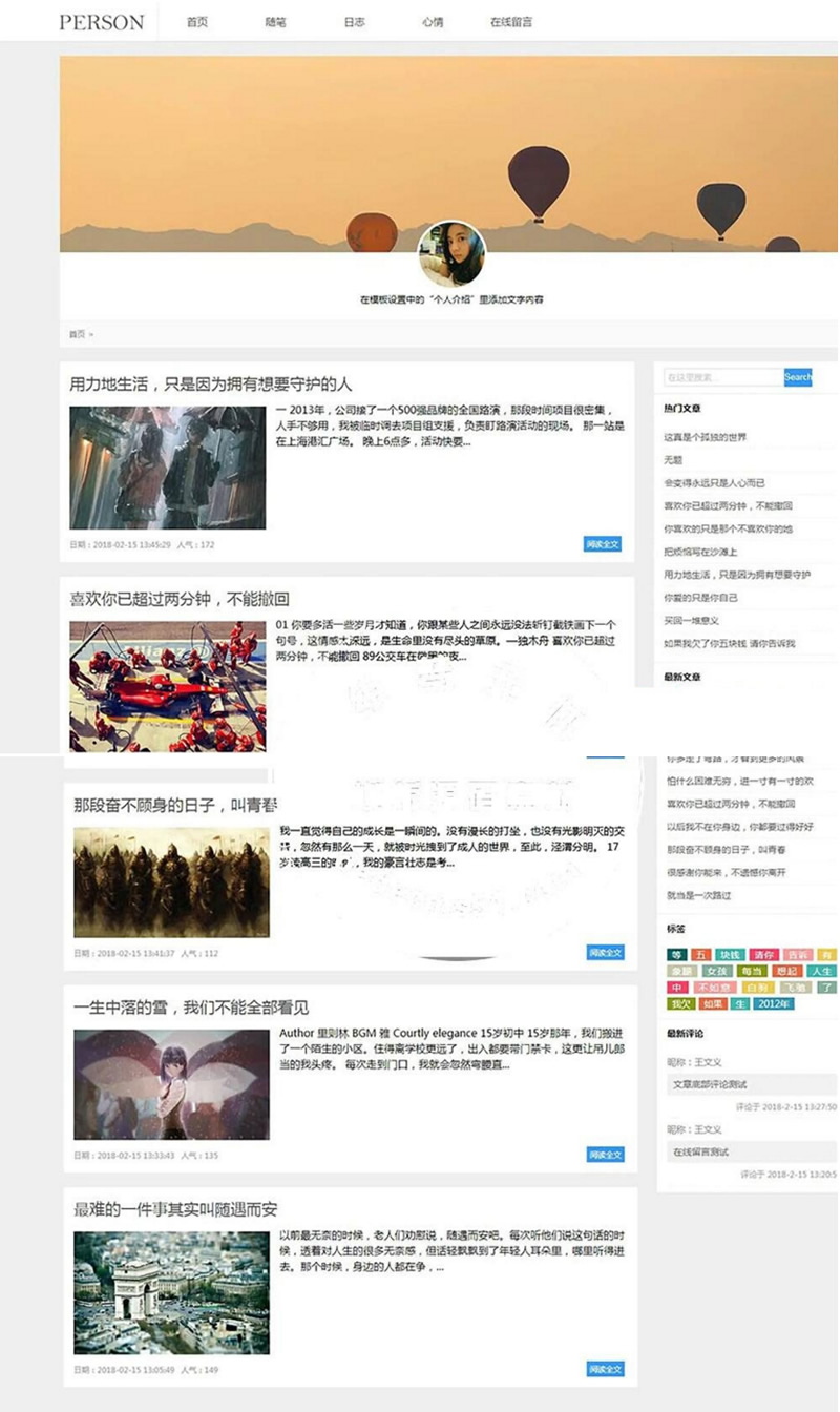 (带手机移动端)简洁PERSON个人博客新闻资讯网站源码 织梦dedecms模板WordPress主题模板_淘源码资源网_建站教程WordPress主题模板_zibll子比主题官网_淘源码资源网