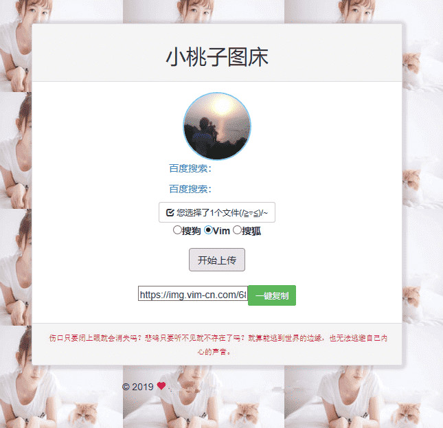 极简聚合图床程序源码 支持搜狗搜狐Vim图WordPress主题模板_淘源码资源网_建站教程WordPress主题模板_zibll子比主题官网_淘源码资源网
