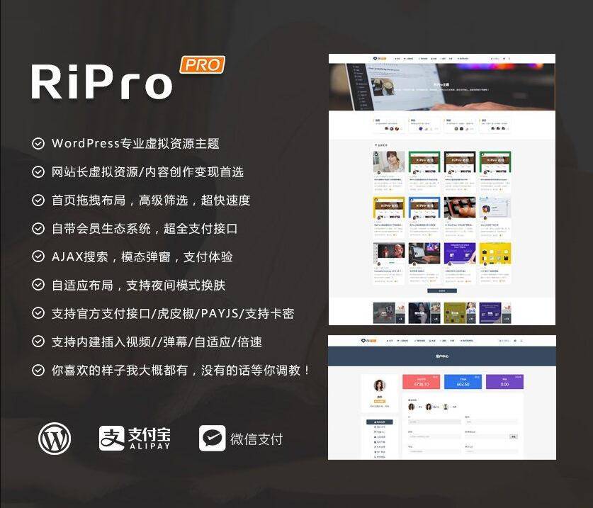 ripro8.7日主题破解版 WordPress主题WordPress主题模板_淘源码资源网_建站教程WordPress主题模板_zibll子比主题官网_淘源码资源网