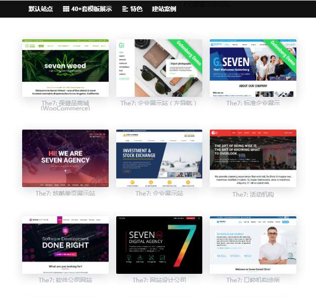 wordpress主题The7_ v9.40可视化建站最新汉化版带秘钥WordPress主题模板_淘源码资源网_建站教程WordPress主题模板_zibll子比主题官网_淘源码资源网