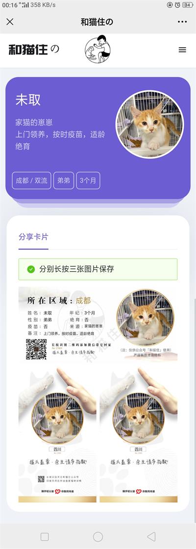 流浪猫流浪狗宠物领养平台H5源码 Thinkphp5内核WordPress主题模板_淘源码资源网_建站教程WordPress主题模板_zibll子比主题官网_淘源码资源网