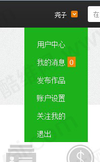 织梦酷维网dedecms会员中心+高仿QQ空间主页V2.0WordPress主题模板_淘源码资源网_建站教程WordPress主题模板_zibll子比主题官网_淘源码资源网