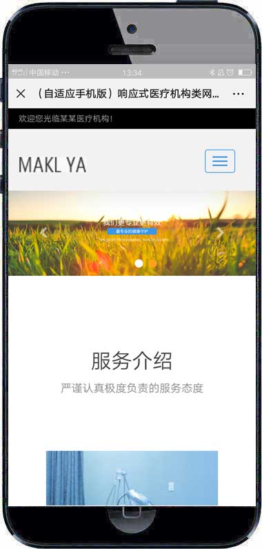(自适应手机版)响应式机构类网站织梦模板WordPress主题模板_淘源码资源网_建站教程WordPress主题模板_zibll子比主题官网_淘源码资源网