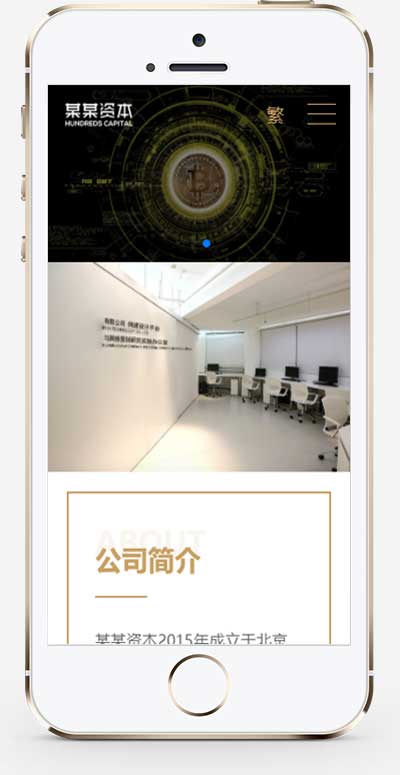 (自适应手机端)简繁双语响应式HTML5通用金融资本咨询网站单页pbootcms模板WordPress主题模板_淘源码资源网_建站教程WordPress主题模板_zibll子比主题官网_淘源码资源网