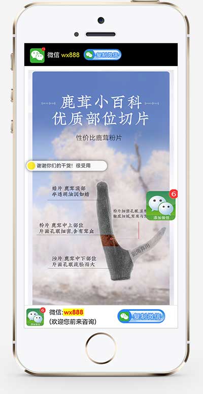 (独立手机版)营销推广落地页网站源码 落地页单页pbootcms模板WordPress主题模板_淘源码资源网_建站教程WordPress主题模板_zibll子比主题官网_淘源码资源网