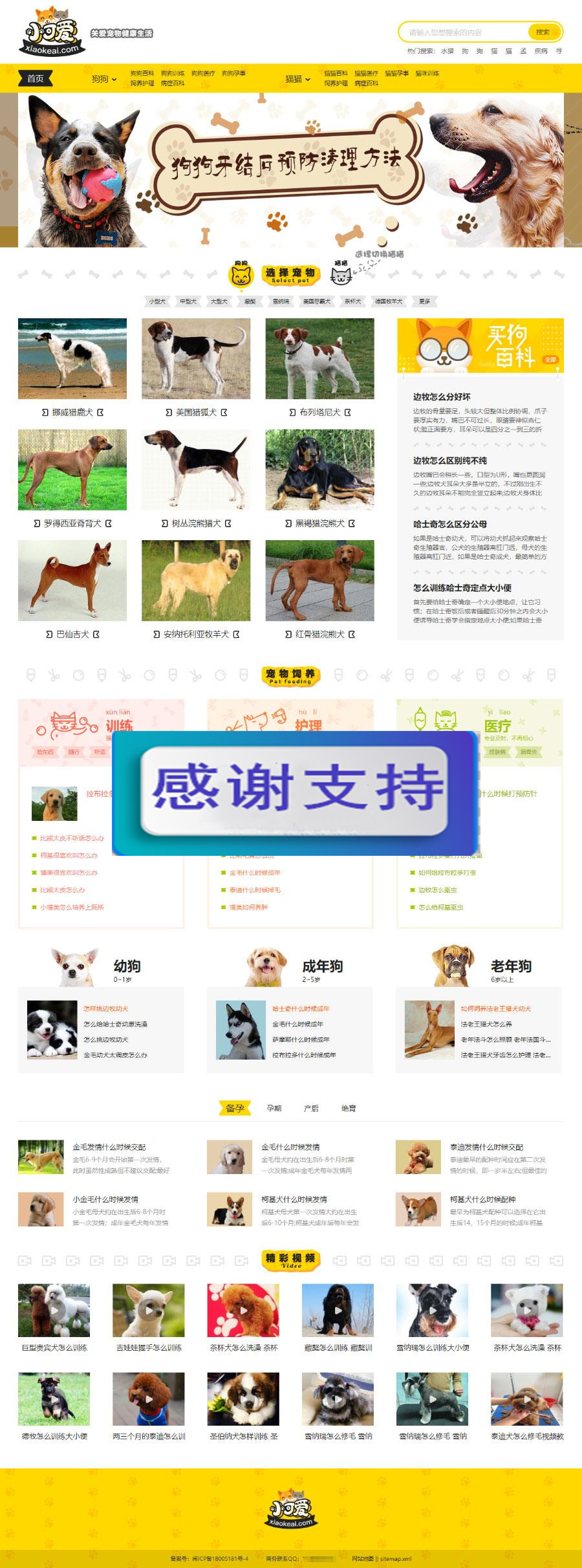 帝国CMS内核仿《小可爱宠物网》宠物资讯平台网站源码完整版+火车头采集+手机版_源码下载WordPress主题模板_淘源码资源网_建站教程WordPress主题模板_zibll子比主题官网_淘源码资源网