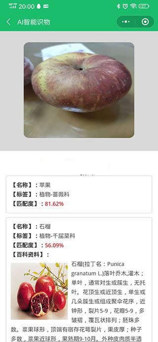 图片[2]WordPress主题模板_淘源码资源网_建站教程AI智能识物小程序 v1.2.1WordPress主题模板_淘源码资源网_建站教程WordPress主题模板_zibll子比主题官网_淘源码资源网