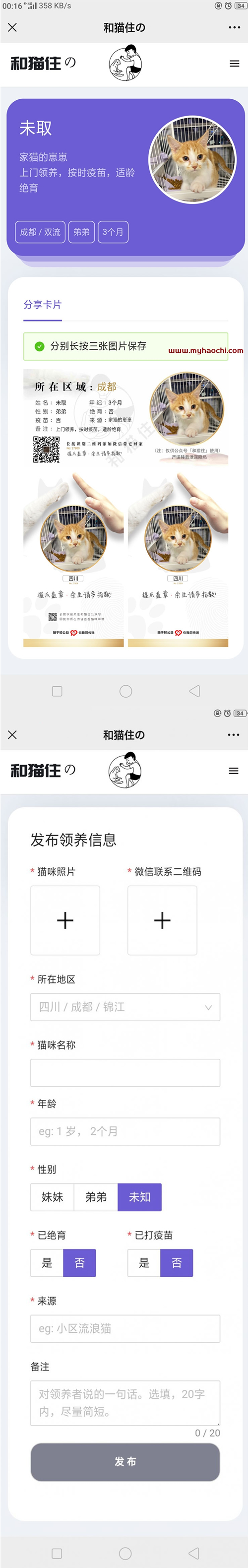 图片[1]WordPress主题模板_淘源码资源网_建站教程流浪猫流浪狗发布H5源码下载 带演示WordPress主题模板_淘源码资源网_建站教程WordPress主题模板_zibll子比主题官网_淘源码资源网