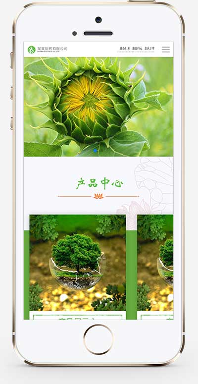 图片[2]WordPress主题模板_淘源码资源网_建站教程(自适应手机端)响应式HTML5农业园林网站源码 通用医药制药类企业网站模板WordPress主题模板_淘源码资源网_建站教程WordPress主题模板_zibll子比主题官网_淘源码资源网