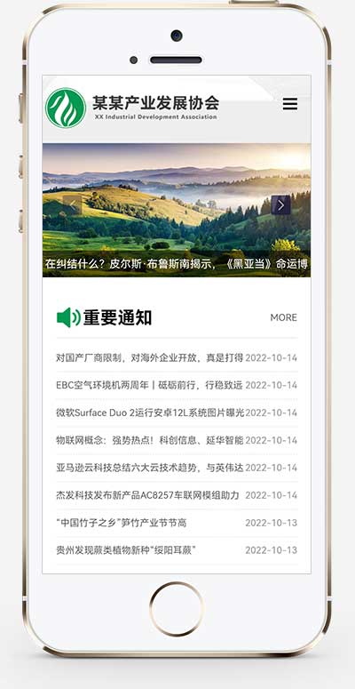 图片[2]WordPress主题模板_淘源码资源网_建站教程(自适应手机端)政府协会网站源码 绿色pbootcms产业发展协会网站模板WordPress主题模板_淘源码资源网_建站教程WordPress主题模板_zibll子比主题官网_淘源码资源网