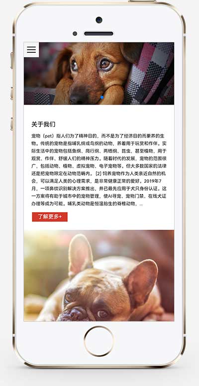 图片[2]WordPress主题模板_淘源码资源网_建站教程(自适应手机端)宠物零食网站源码 猫粮狗粮宠物粮食网站pbootcms模板WordPress主题模板_淘源码资源网_建站教程WordPress主题模板_zibll子比主题官网_淘源码资源网