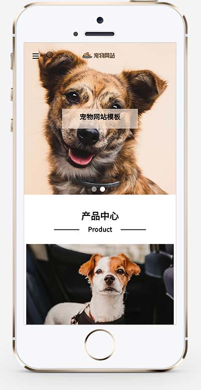 图片[2]WordPress主题模板_淘源码资源网_建站教程(自适应手机端)宠物商店宠物网站源码 宠物装备类网站pbootcms模板WordPress主题模板_淘源码资源网_建站教程WordPress主题模板_zibll子比主题官网_淘源码资源网