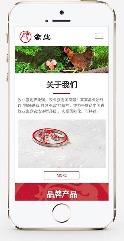 图片[2]WordPress主题模板_淘源码资源网_建站教程(自适应手机版)响应式养殖企业网站源码  家禽饲养基地类网站pbootcms模板WordPress主题模板_淘源码资源网_建站教程WordPress主题模板_zibll子比主题官网_淘源码资源网