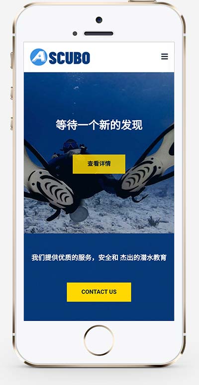 图片[2]WordPress主题模板_淘源码资源网_建站教程(自适应手机端)潜水服务公司网站源码 水上运动设备pbootcms网站模板WordPress主题模板_淘源码资源网_建站教程WordPress主题模板_zibll子比主题官网_淘源码资源网